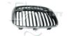 BMW 51137166439 Radiator Grille